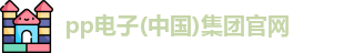 pp电子在线登录